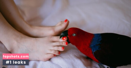 Dainty Wilder gallery photo #1702