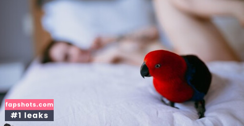 Dainty Wilder gallery photo #1713