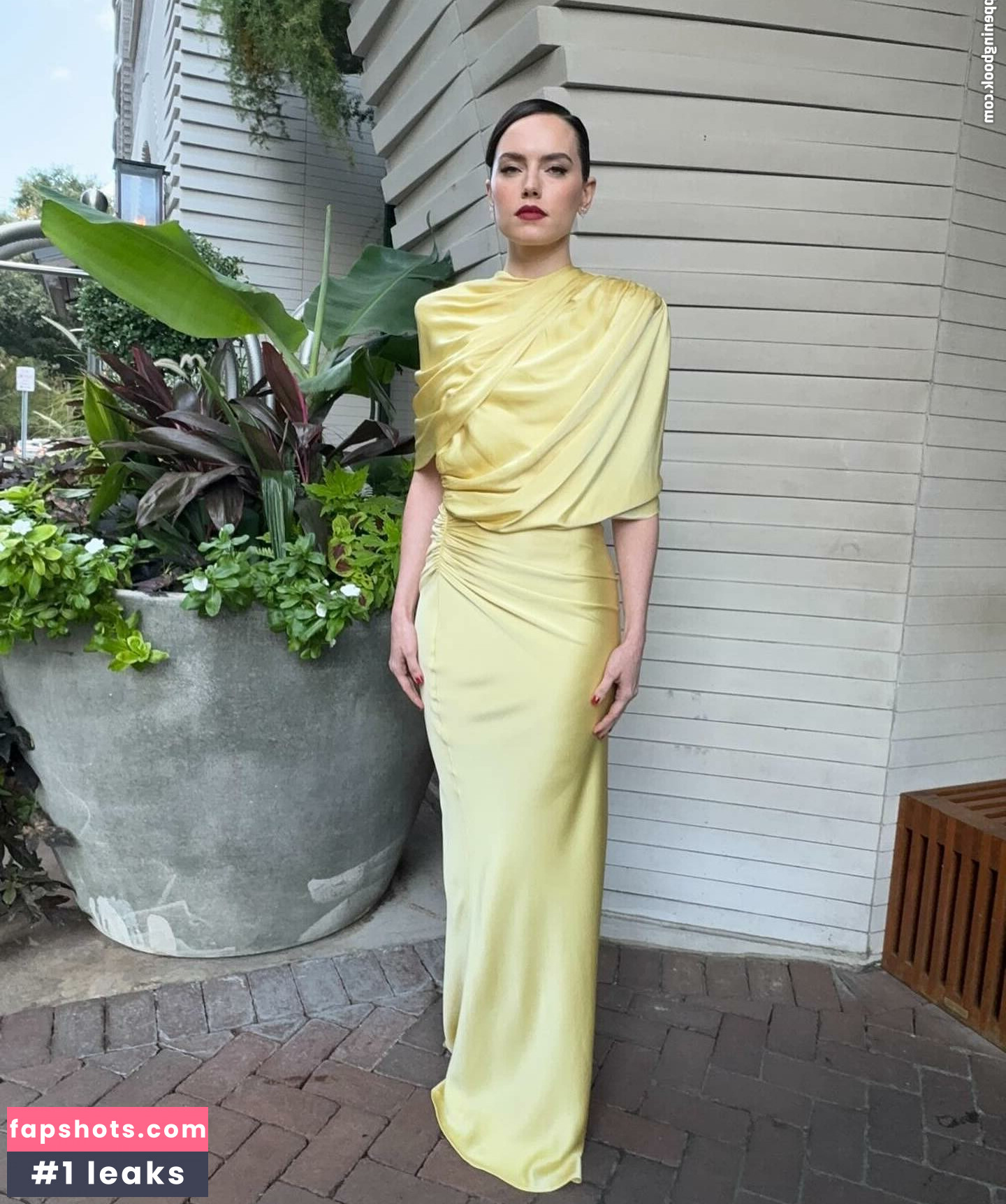 Daisy Ridley Nacktheit OnlyFans Fotos #44 - Fapshots