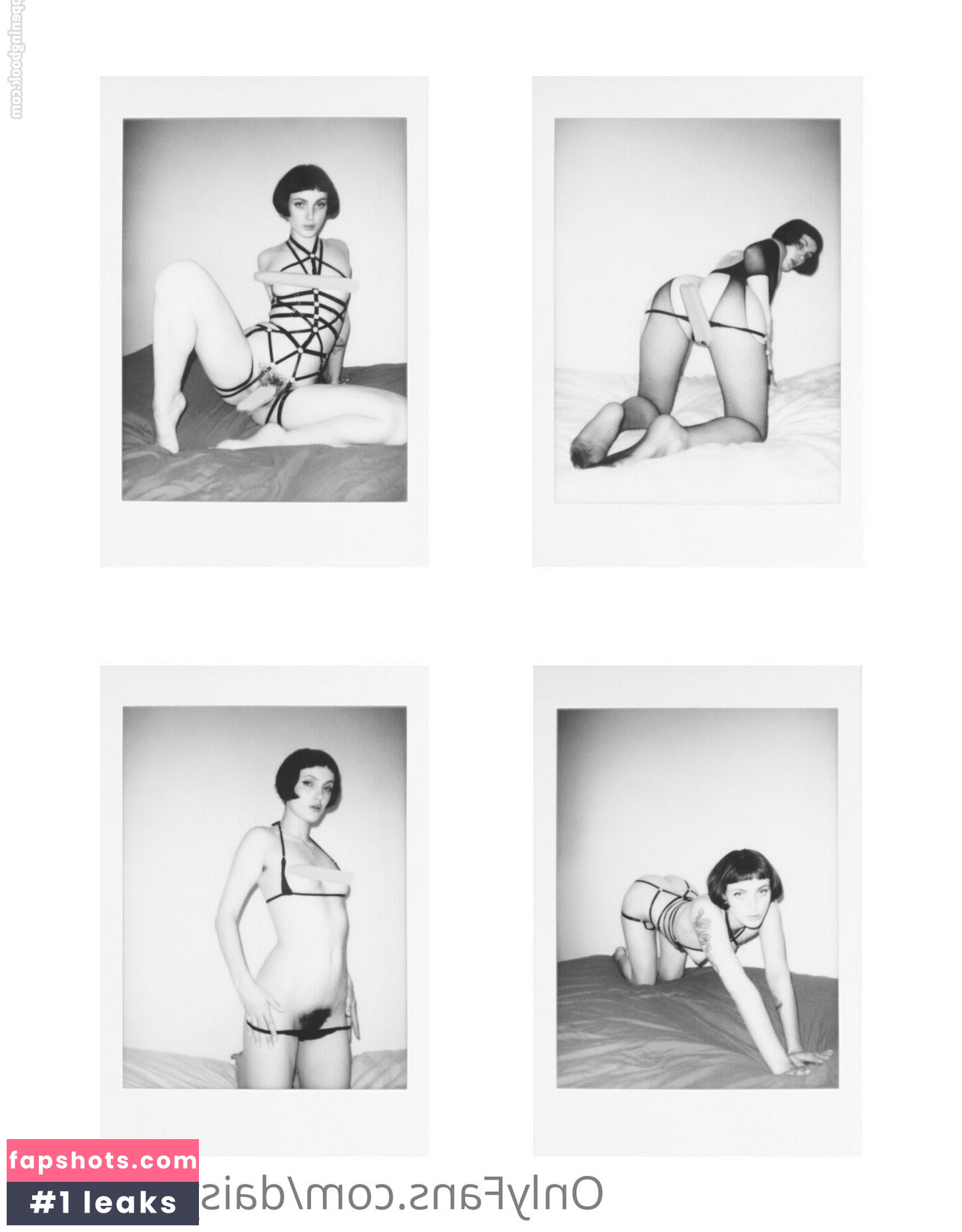 daisylovefree gallery photo #8