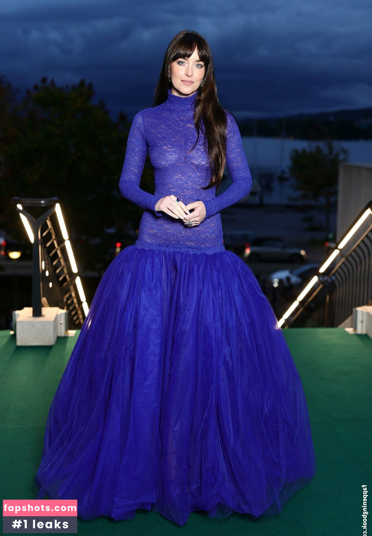 Dakota Johnson Nahé úniky fotek pouze od fanoušků #3 - Fapshots