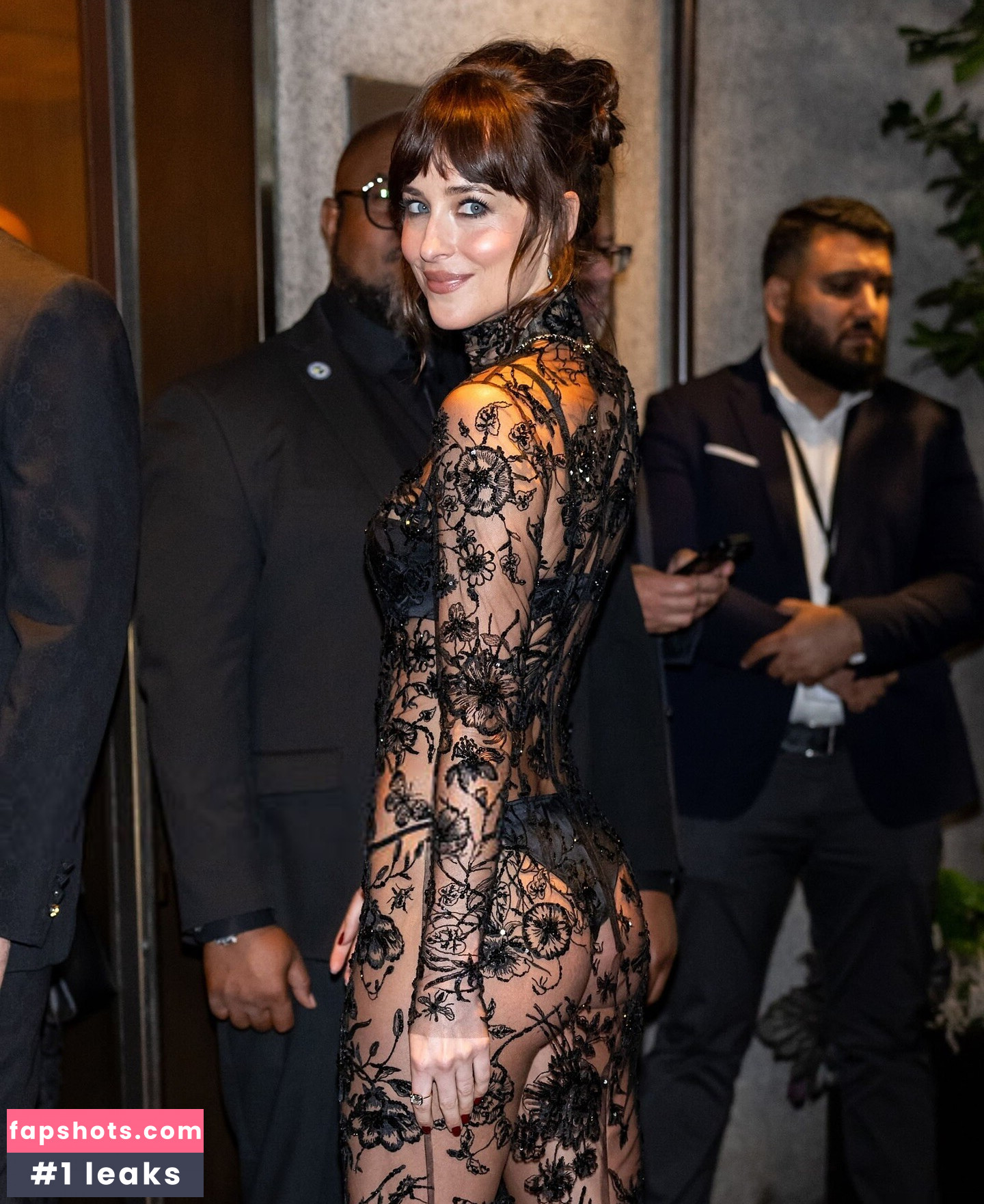 Dakota Johnson Nahé úniky fotek pouze od fanoušků #28 - Fapshots