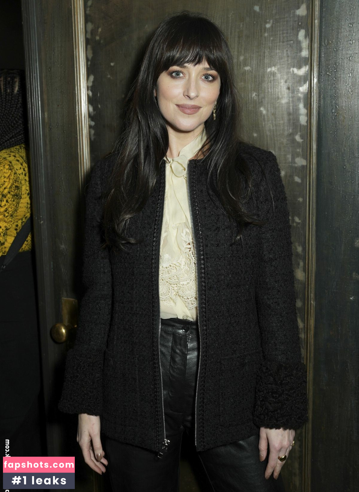 Dakota Johnson Nahé úniky fotek pouze od fanoušků #320 - Fapshots