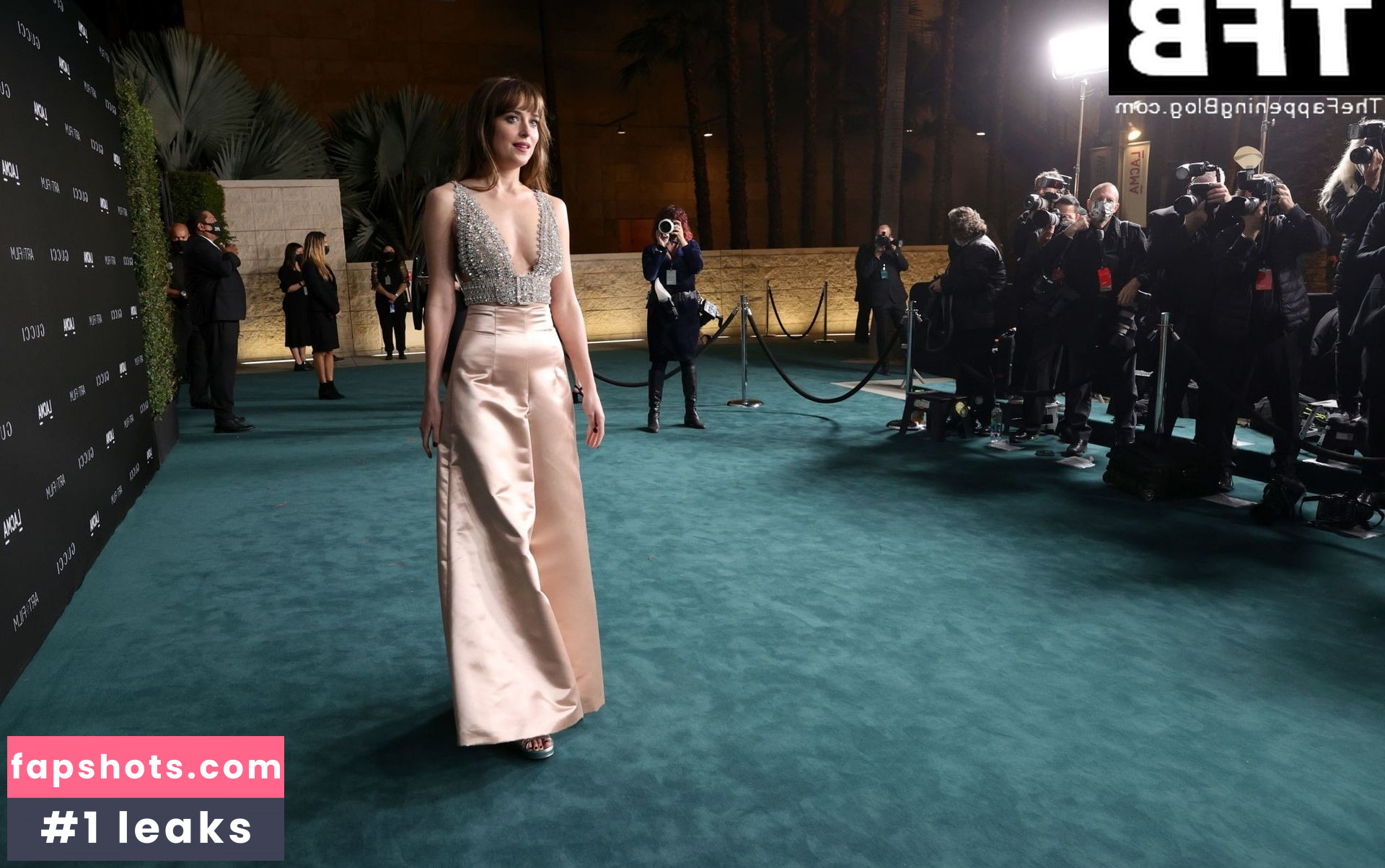 Dakota Johnson Filtración Desnuda OnlyFans Foto #403 - Fapshots