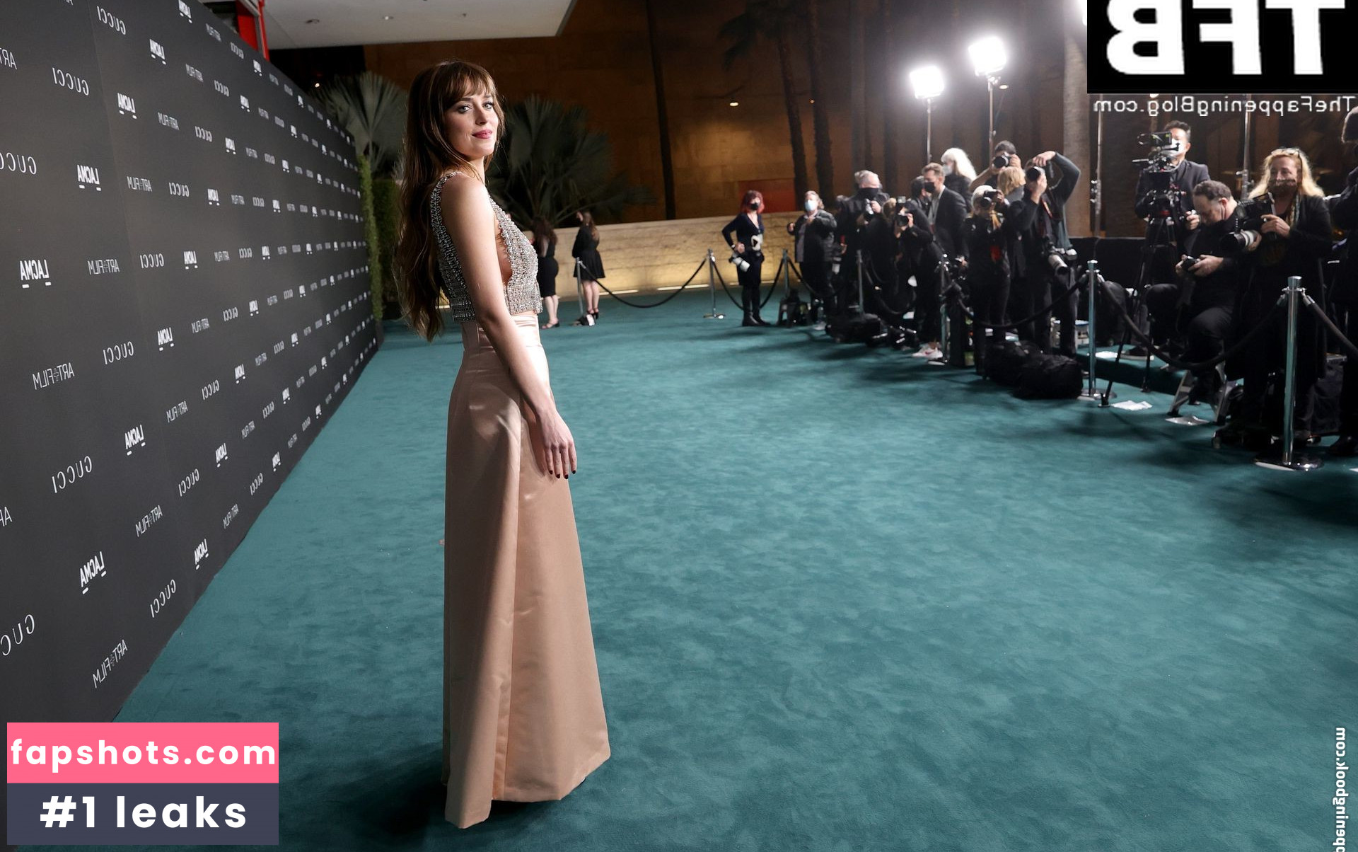 Dakota Johnson Filtración Desnuda OnlyFans Foto #413 - Fapshots