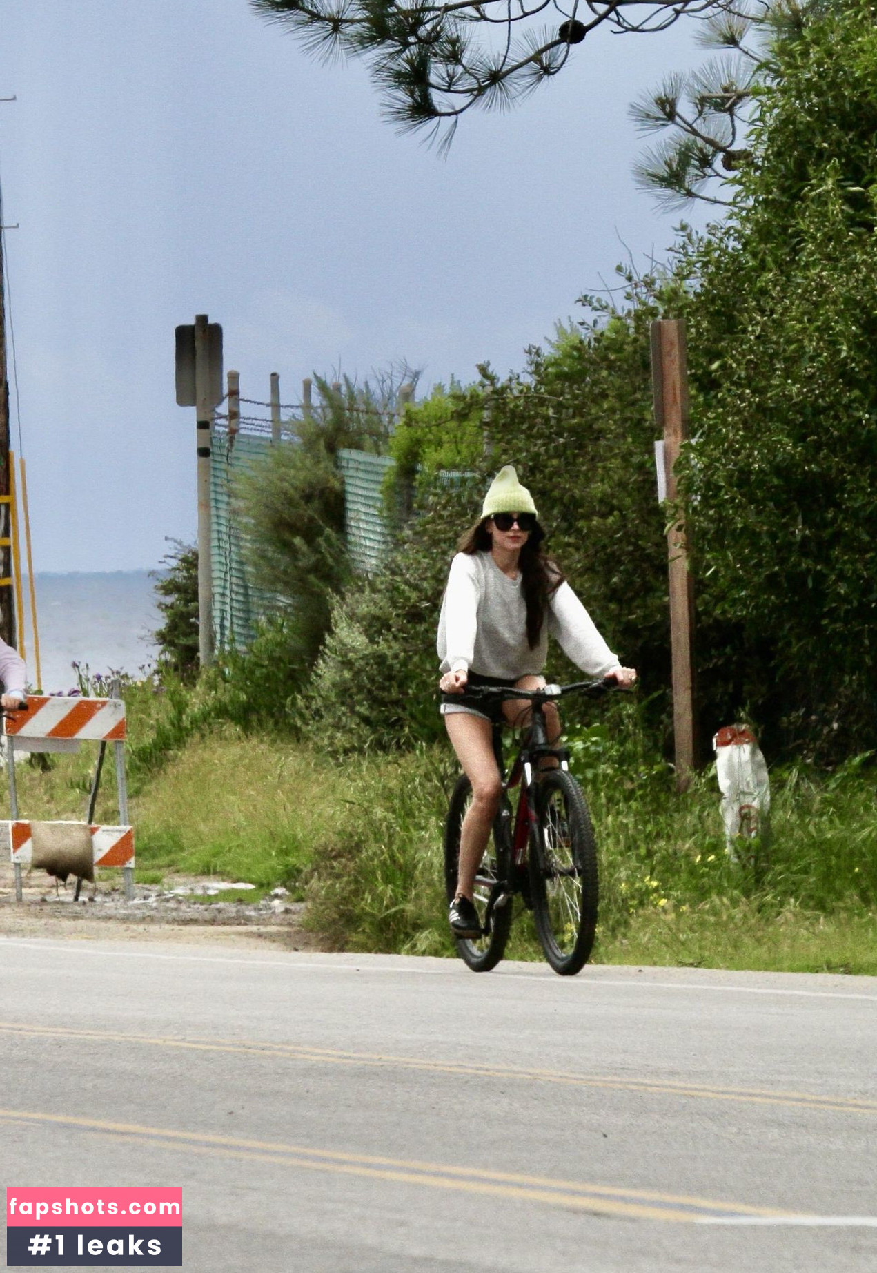 Dakota Johnson Nahé úniky fotek pouze od fanoušků #455 - Fapshots