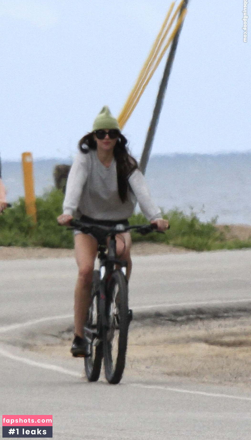 Dakota Johnson Nahé úniky fotek pouze od fanoušků #459 - Fapshots