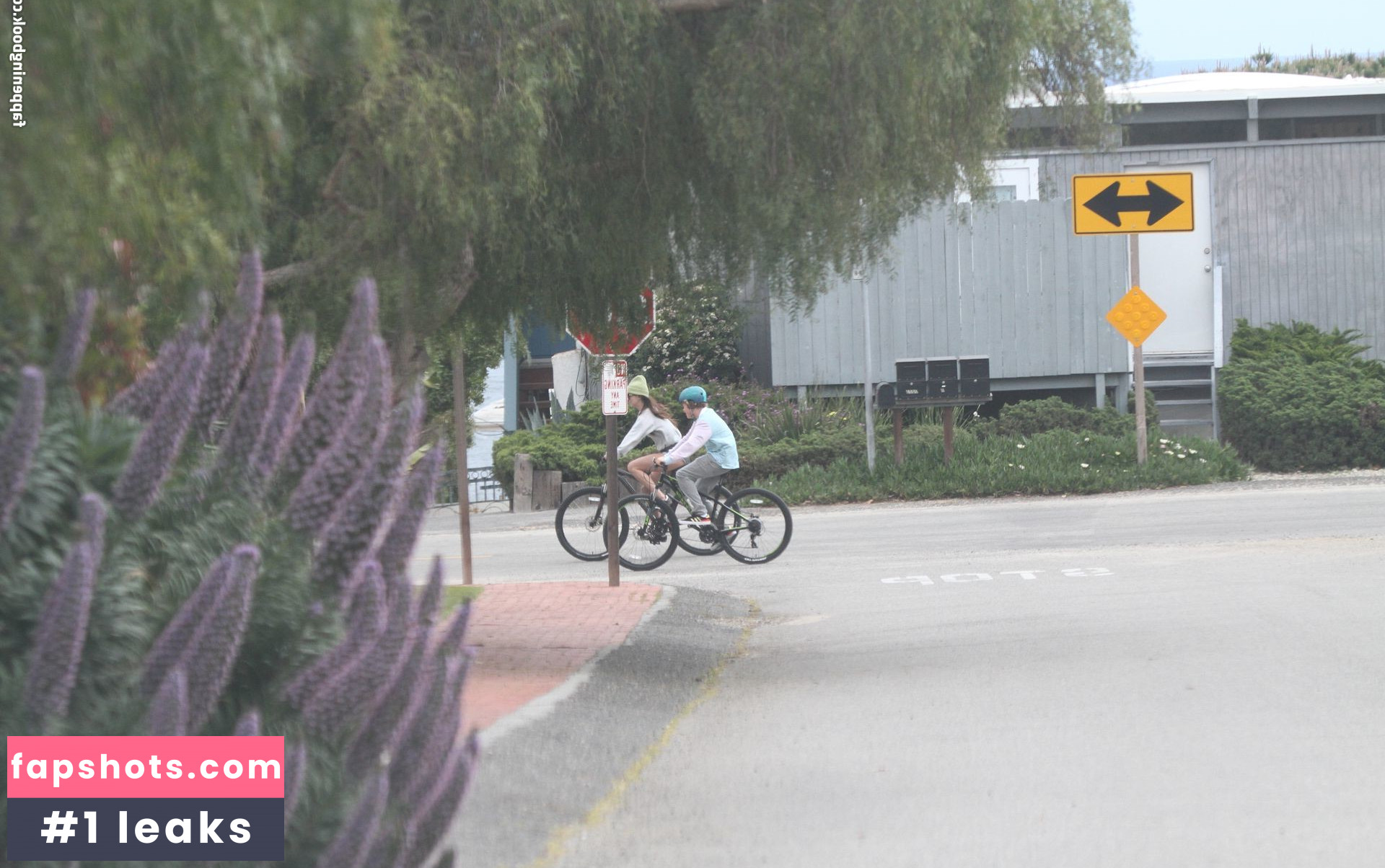 Dakota Johnson Nahé úniky fotek pouze od fanoušků #470 - Fapshots