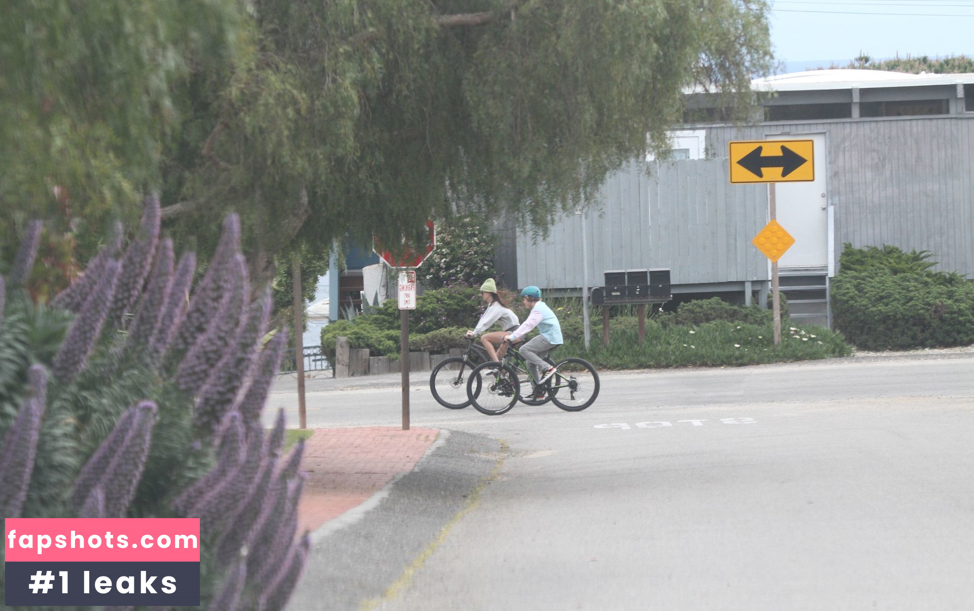 Dakota Johnson Nahé úniky fotek pouze od fanoušků #471 - Fapshots