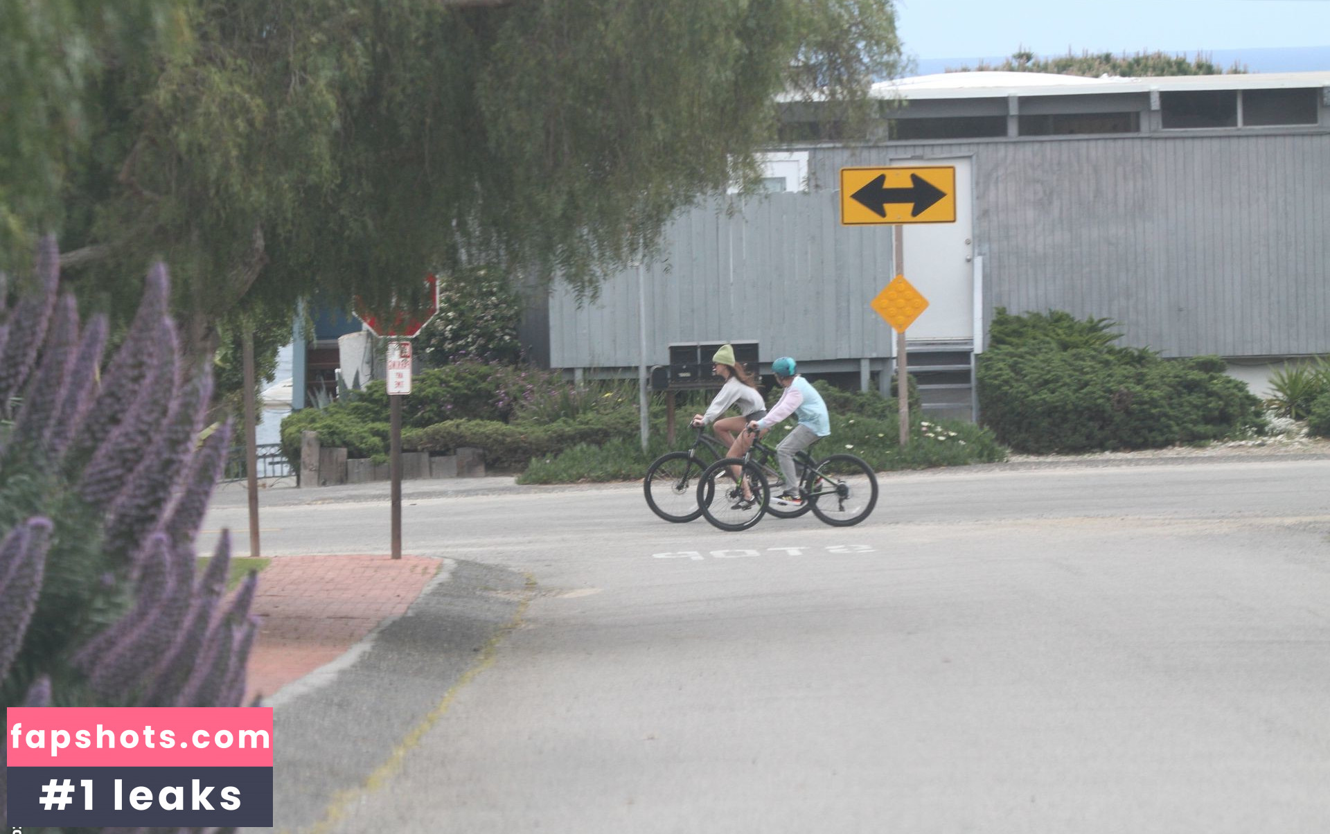 Dakota Johnson Nahé úniky fotek pouze od fanoušků #472 - Fapshots