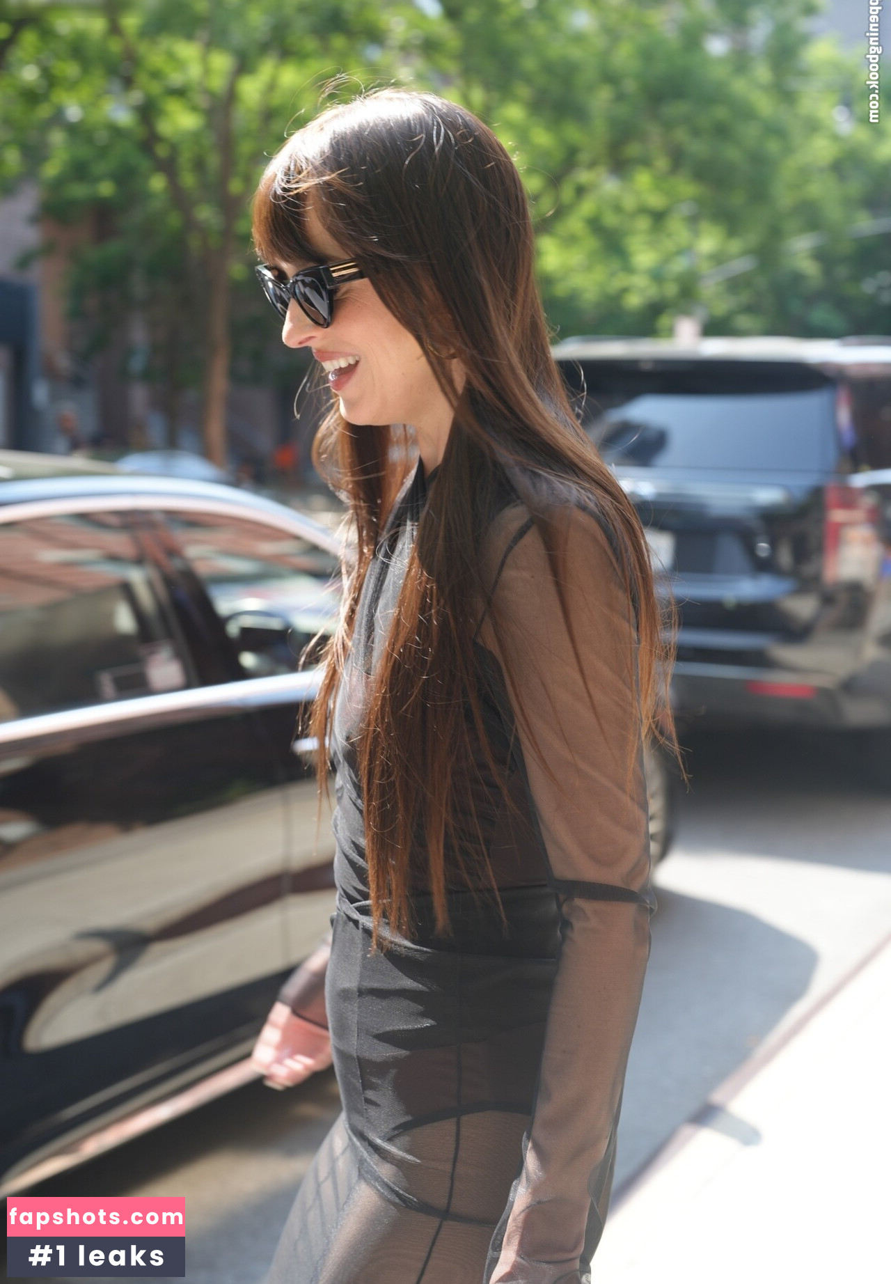 Dakota Johnson Nahé úniky fotek pouze od fanoušků #70 - Fapshots