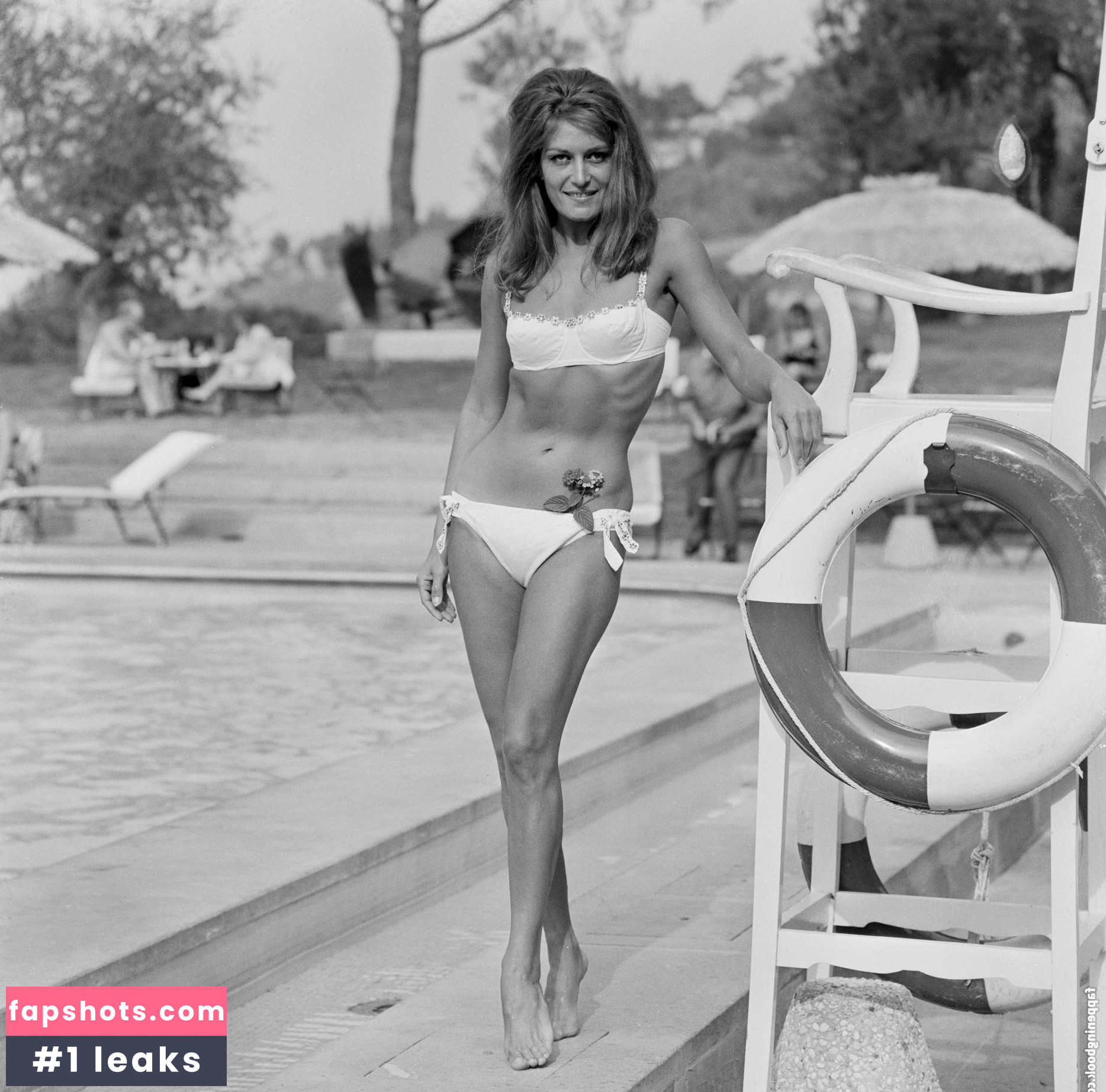 Dalida gallery photo #6