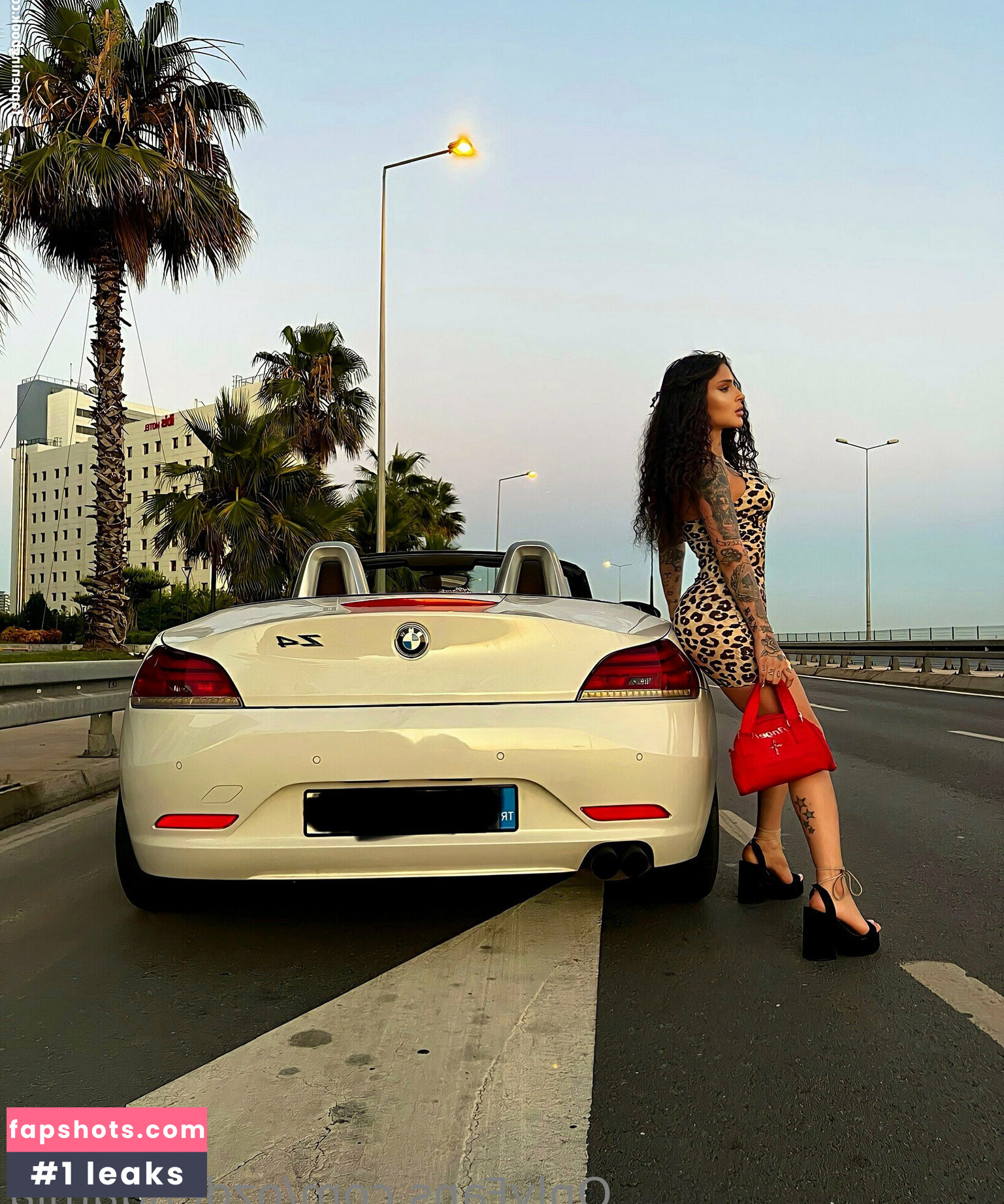 damlaozden gallery photo #19