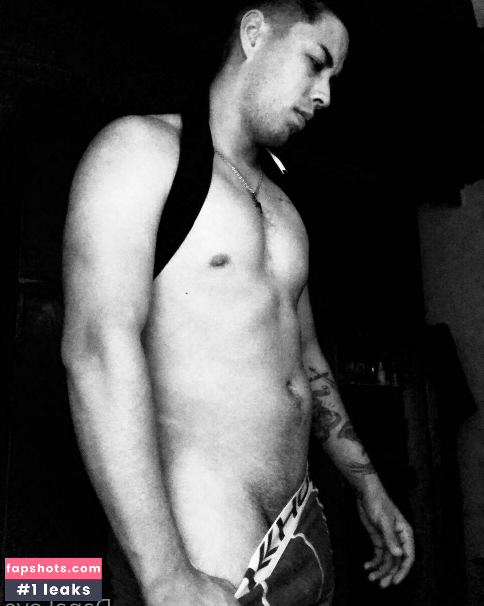 danavogg gallery photo #5