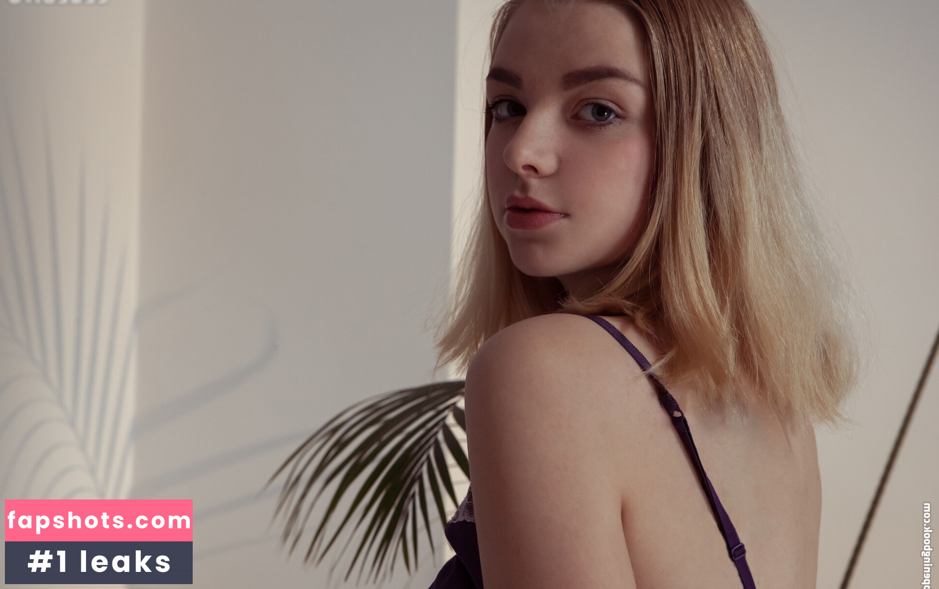 Daniel Sea gallery photo #30