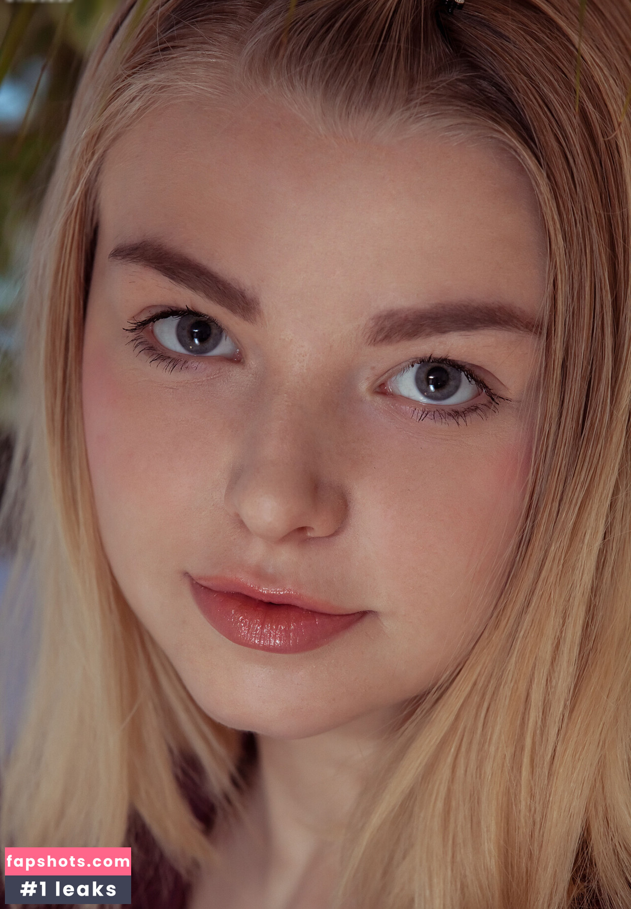 Daniel Sea gallery photo #39