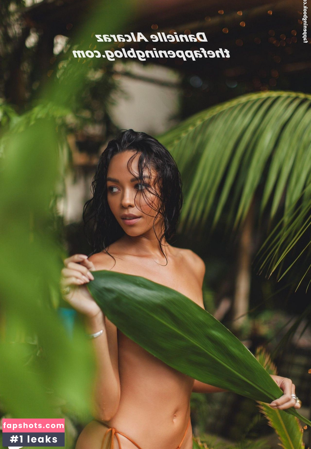 Danielle Alcaraz Nude Leaks OnlyFans Photos #37 - LeakJerk