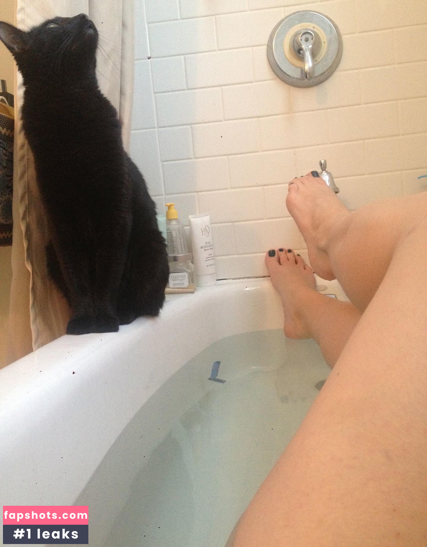 Danielle Colby gallery photo #722