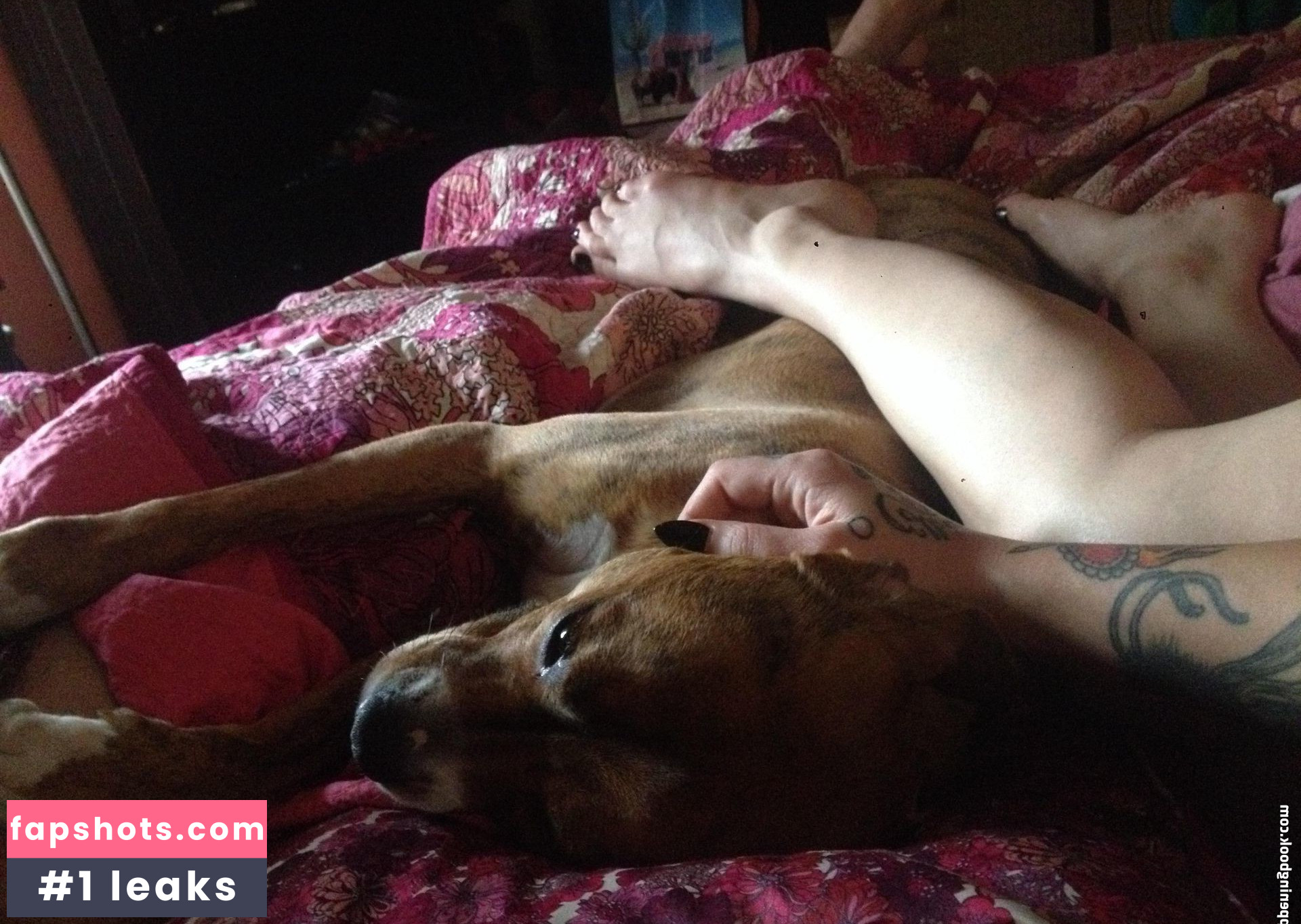 Danielle Colby gallery photo #739