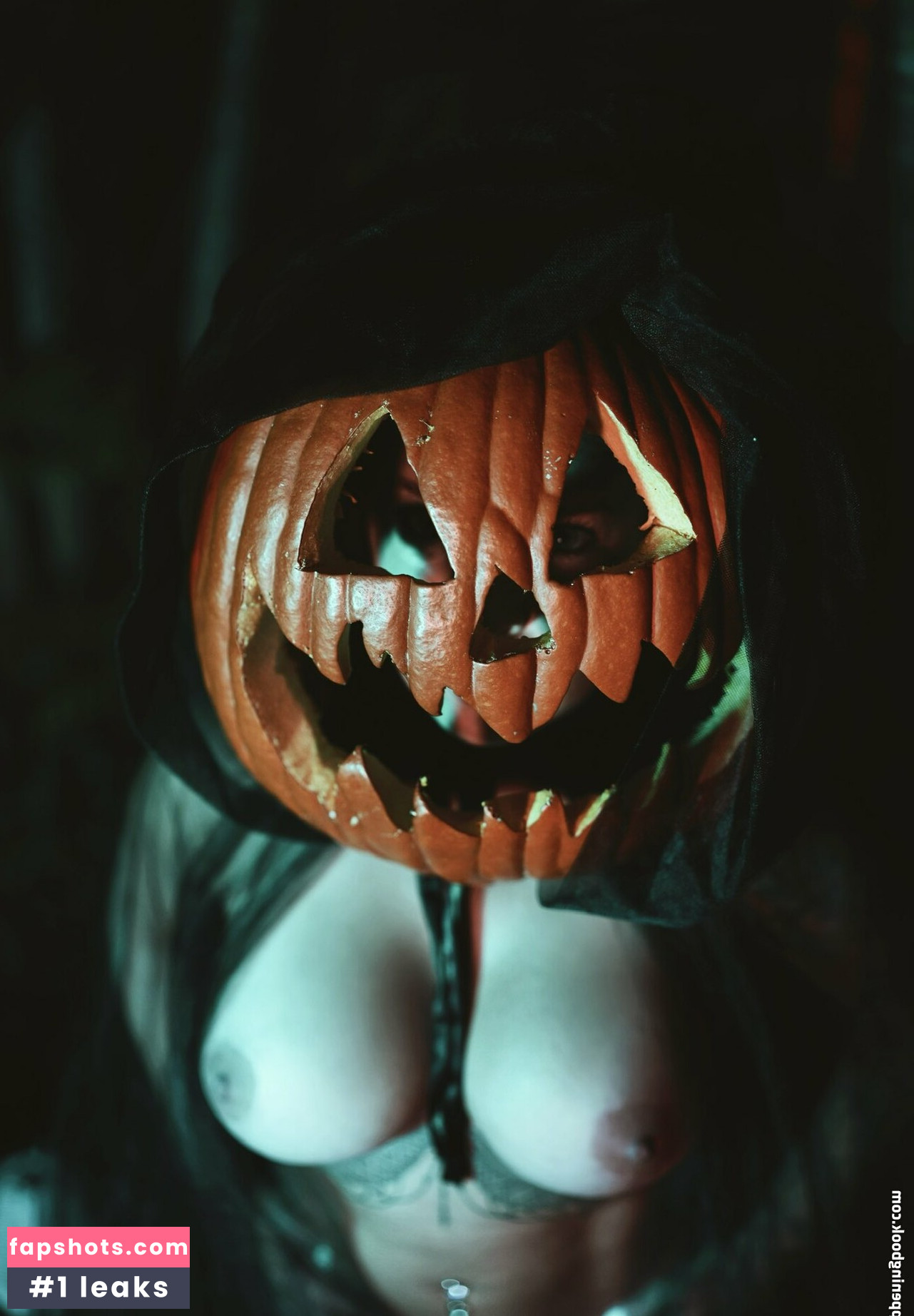 Danielle Donovan gallery photo #30