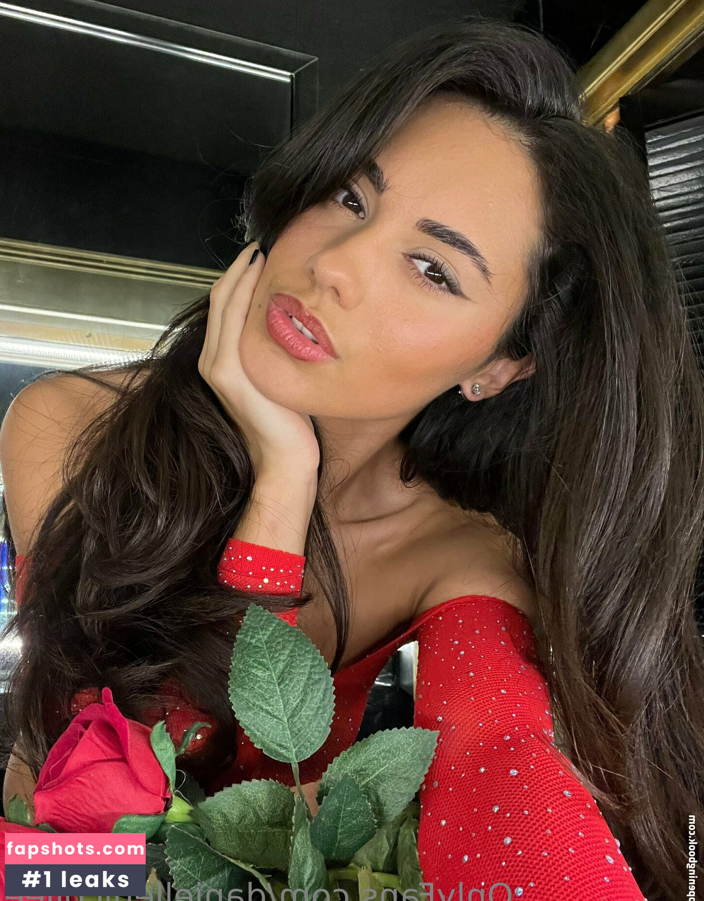 daniellenicollee gallery photo #4