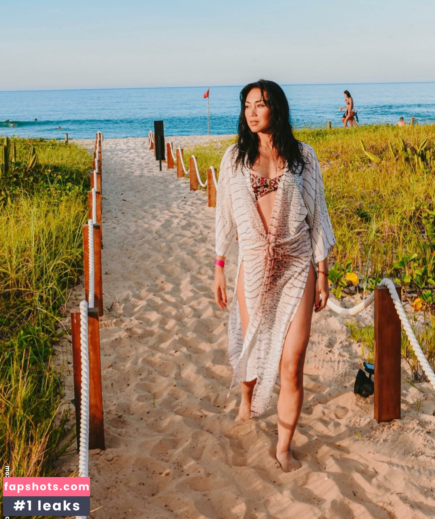 Danni Suzuki gallery photo #48