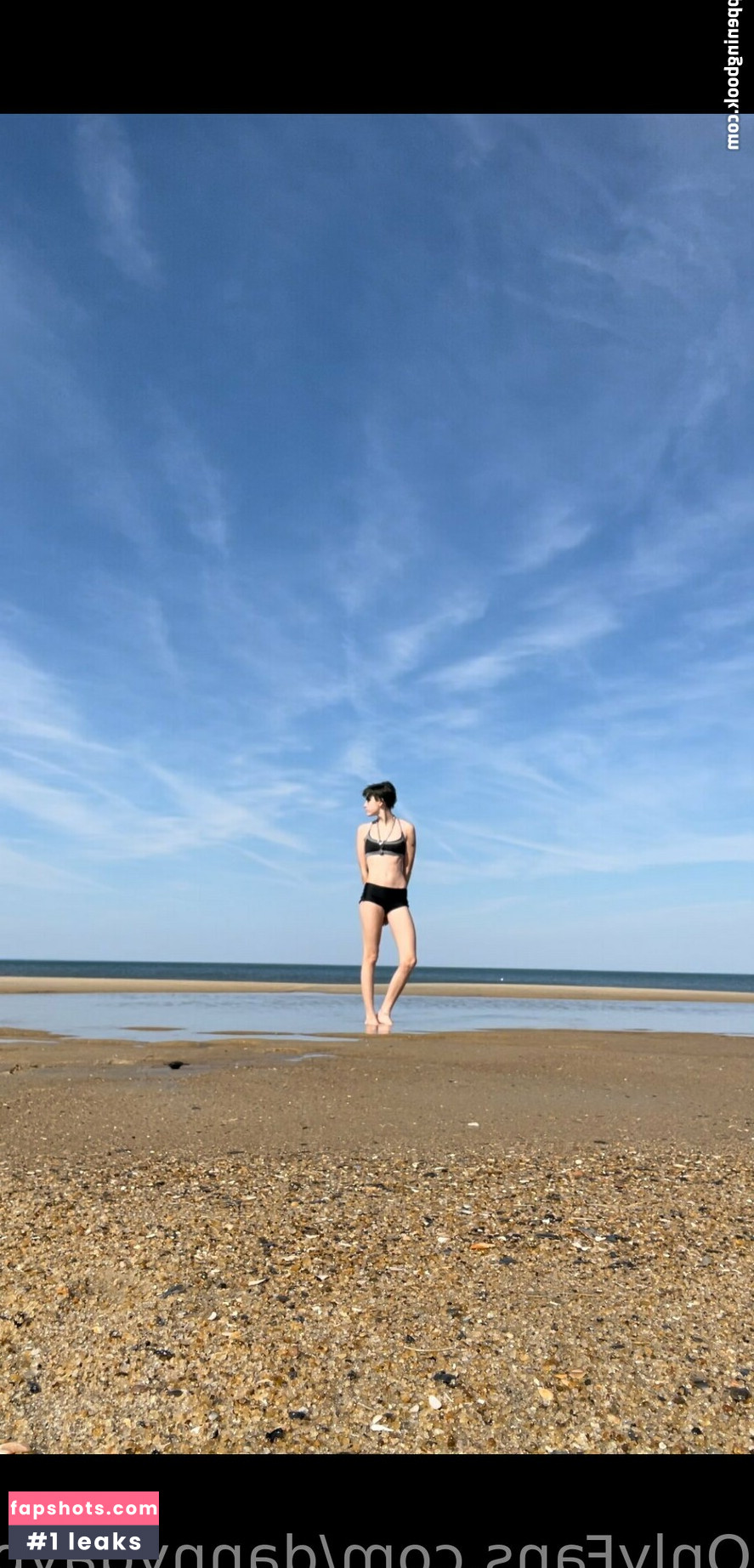 Dannygaypuppy gallery photo #3