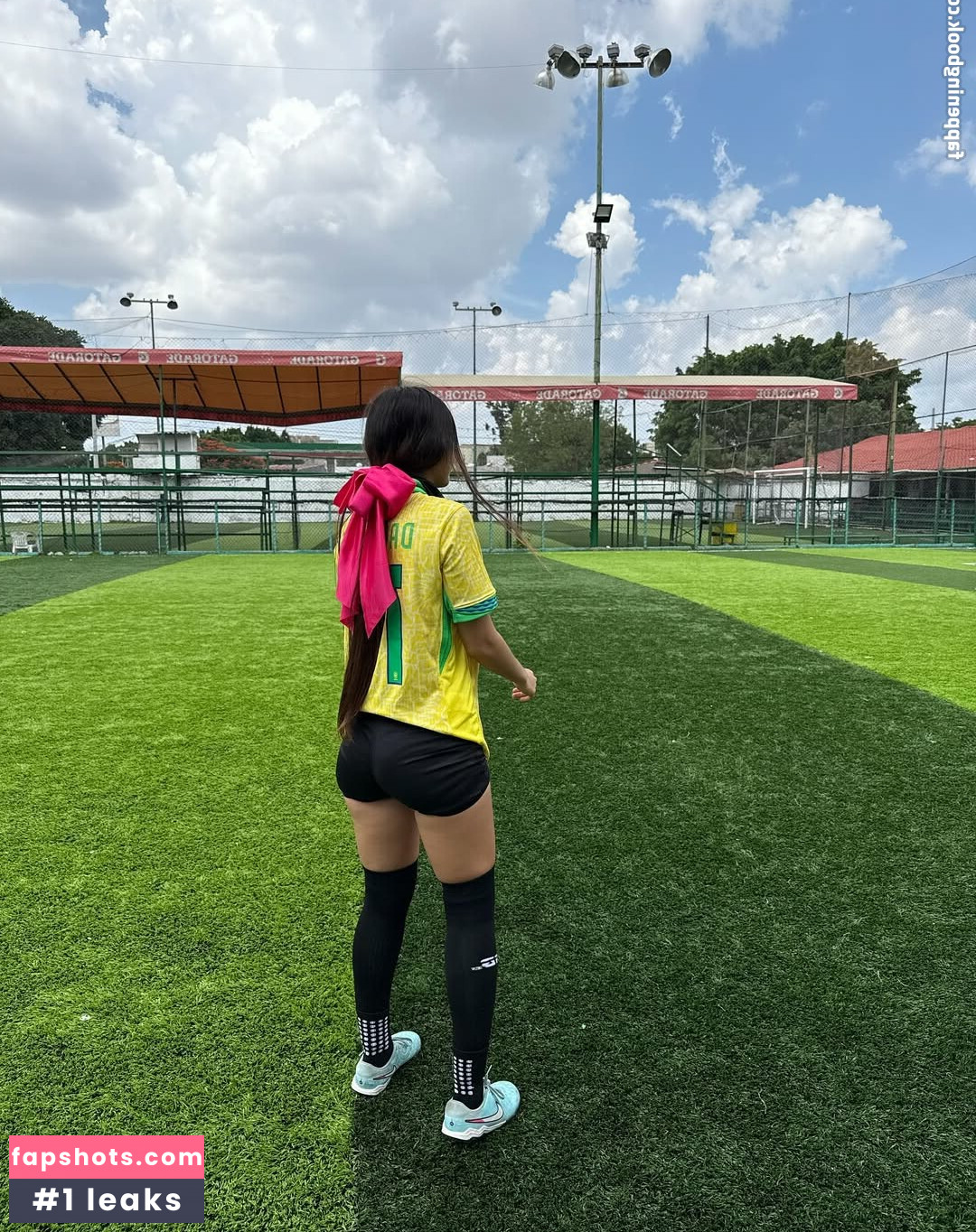 Dany.gis gallery photo #8