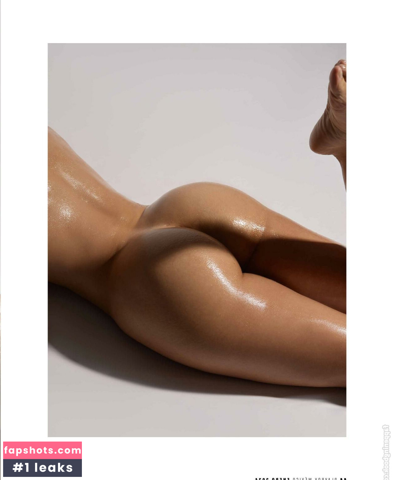 Danyan Cat gallery photo #9