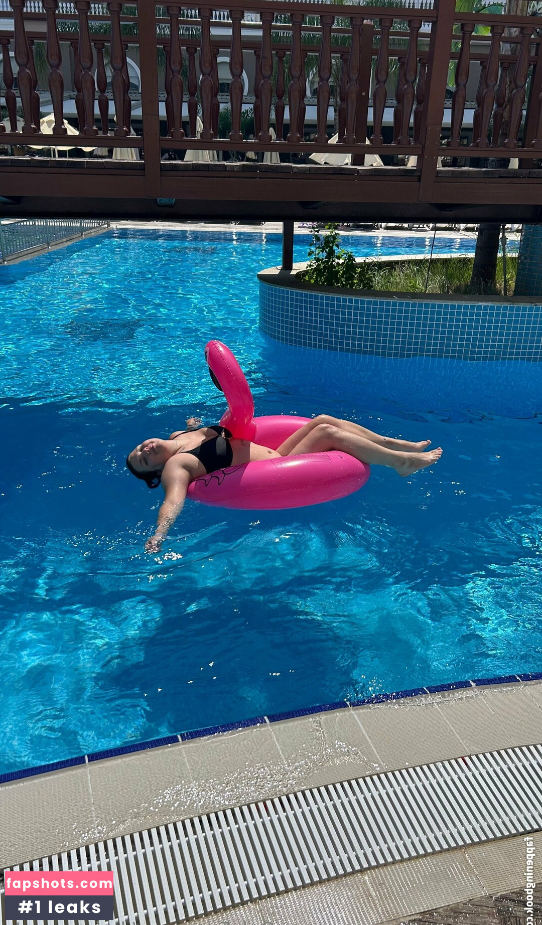 dariassecrets gallery photo #26