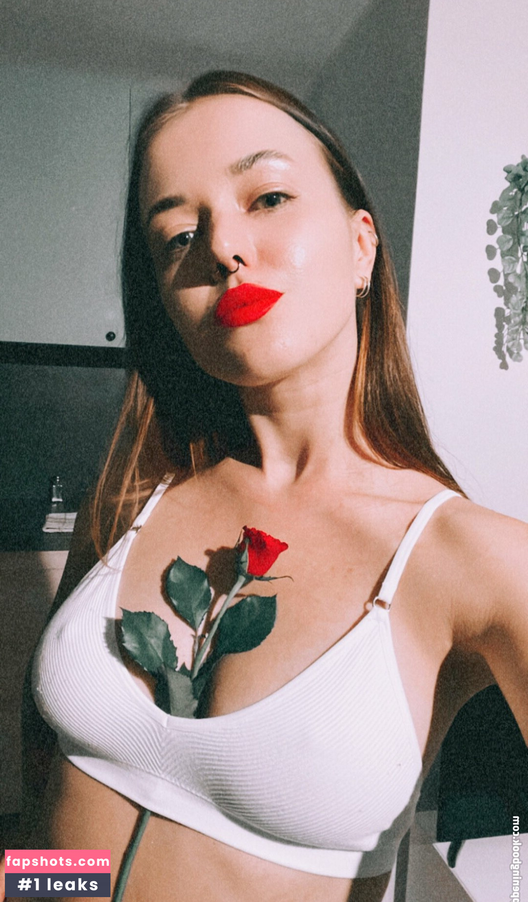 darina_cat gallery photo #16