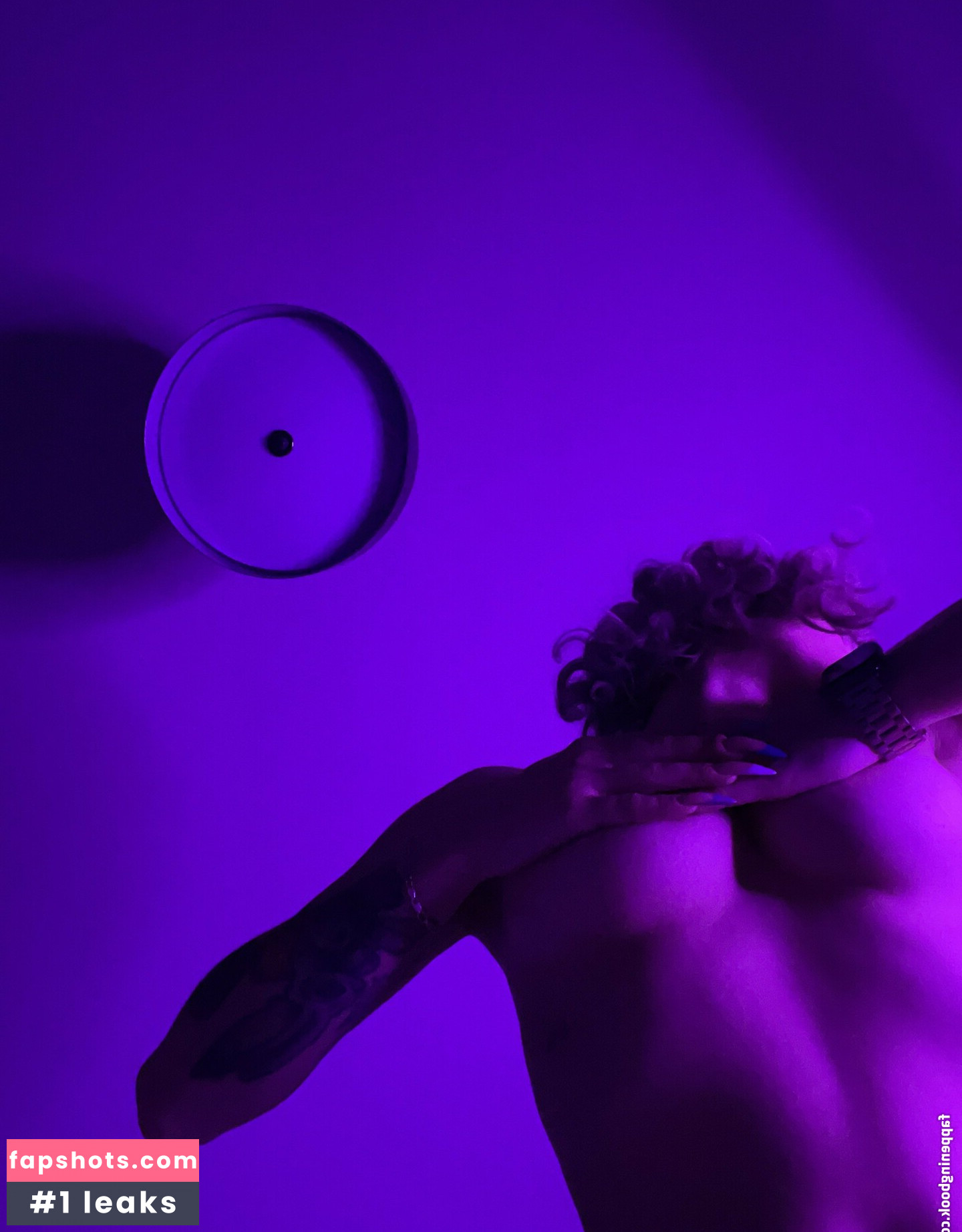 darina_cat gallery photo #25