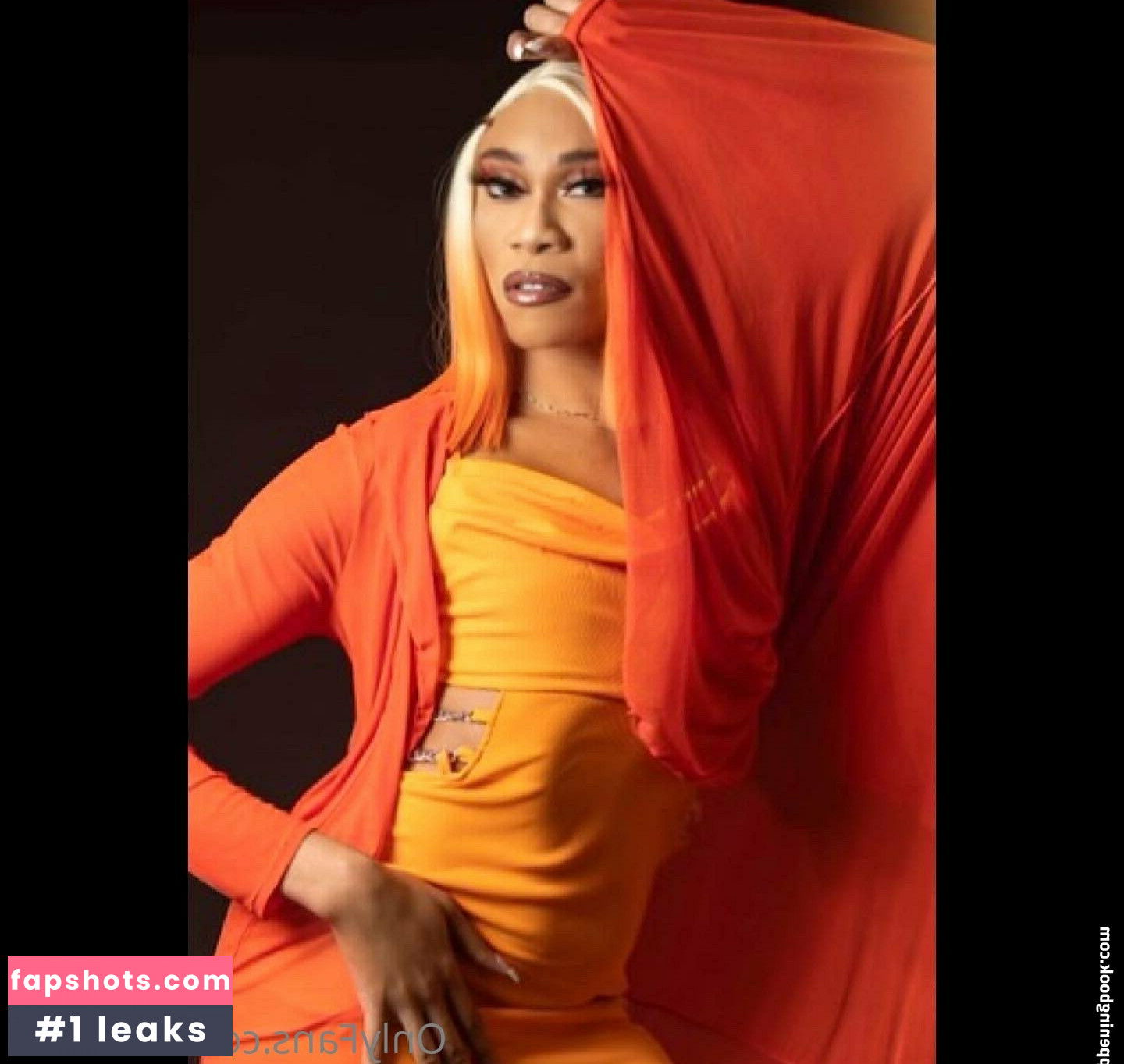 darirose gallery photo #21