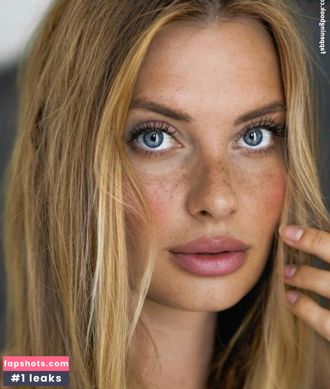 darivo_ gallery photo #33