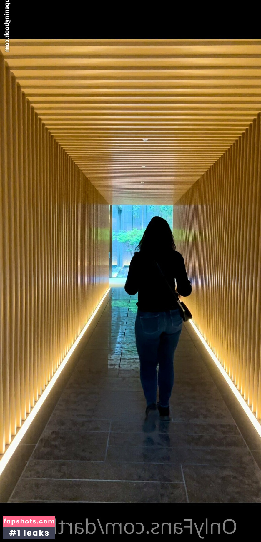 darthshell gallery photo #11