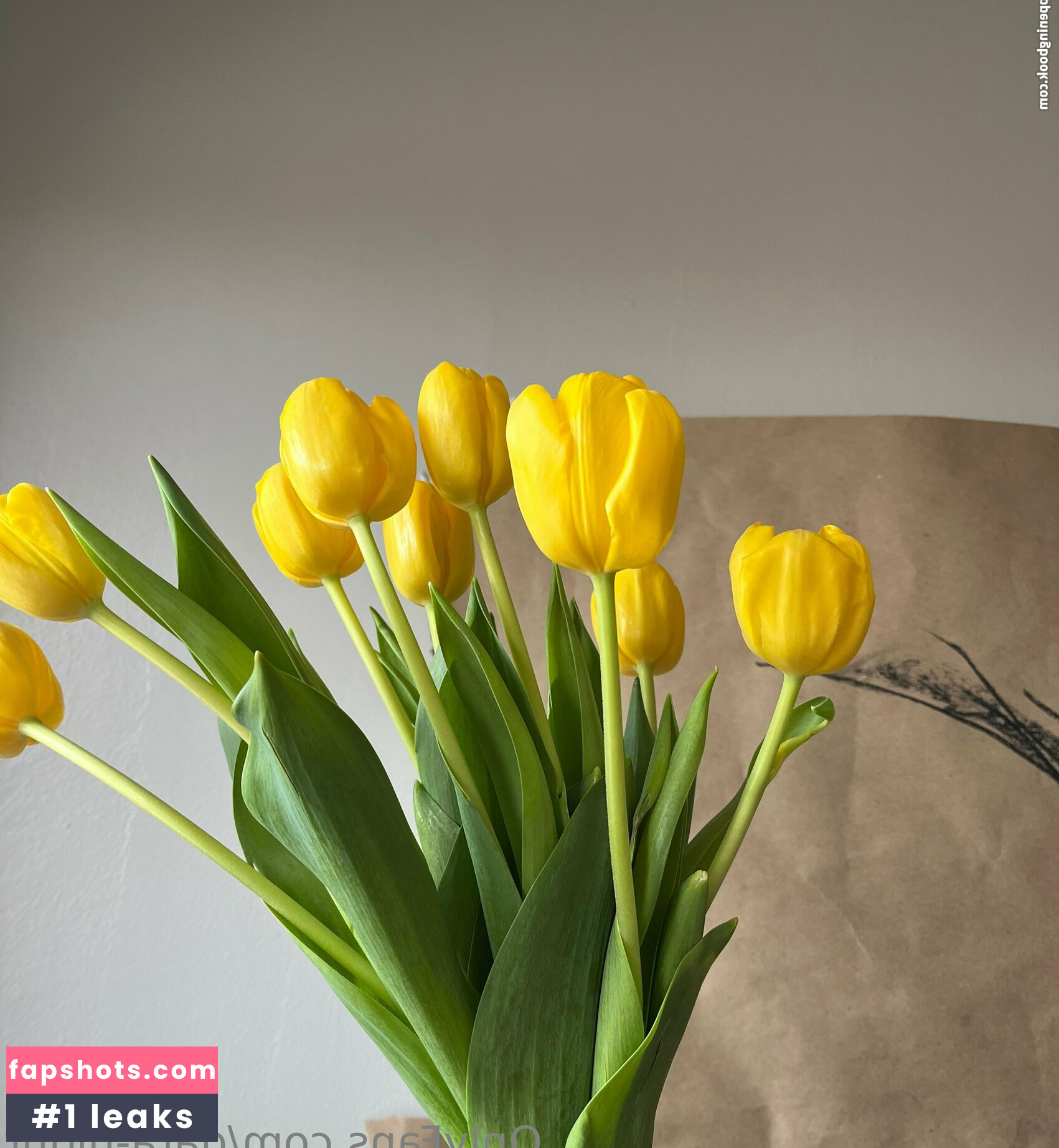 data-night gallery photo #7