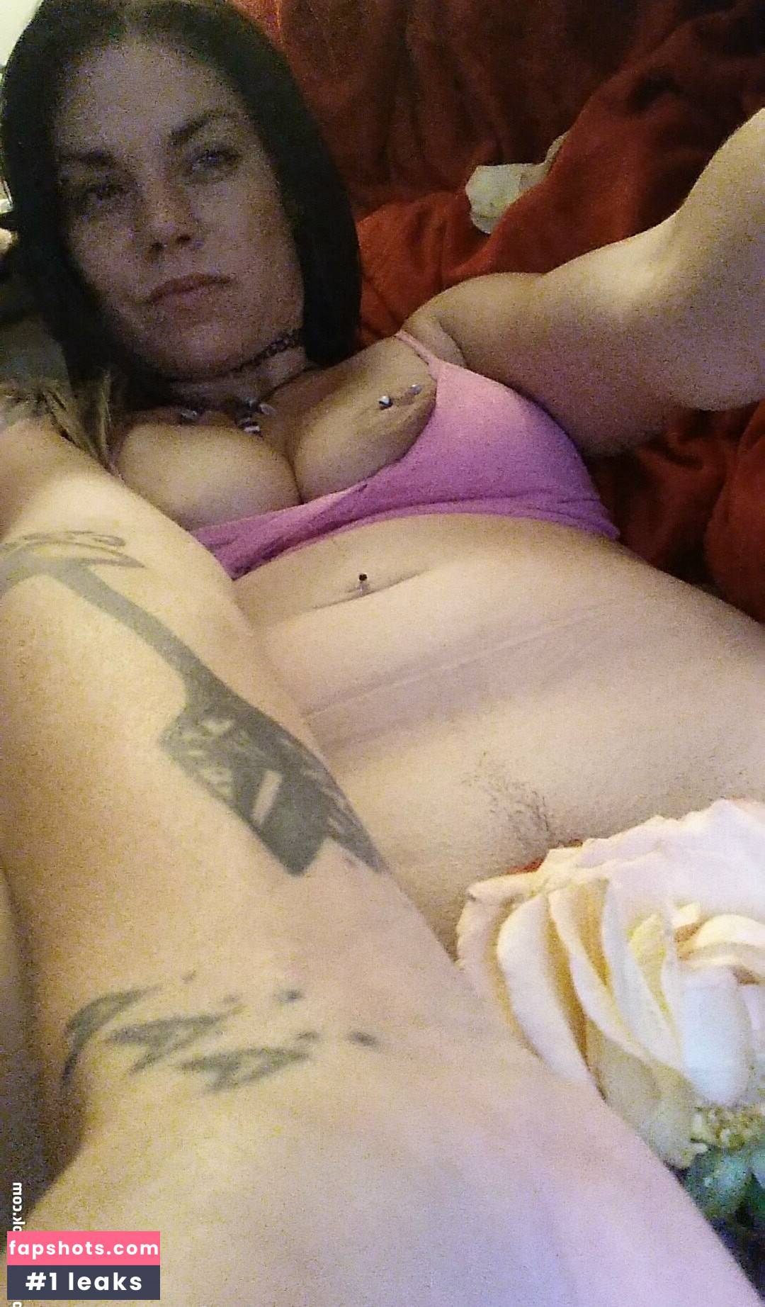 ddrose11 gallery photo #5