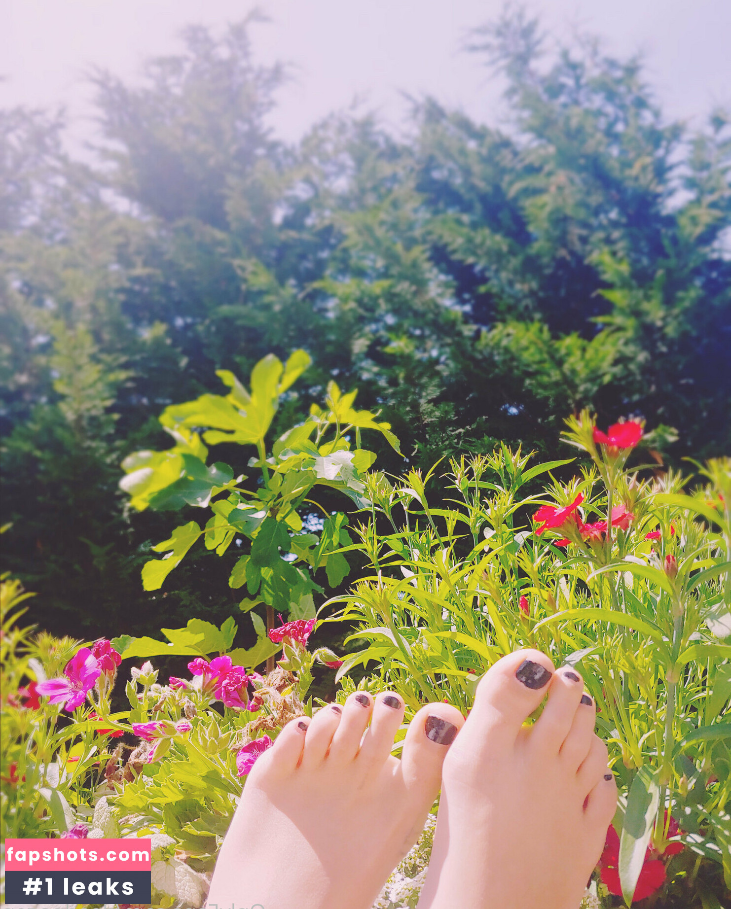 deadpagen gallery photo #10