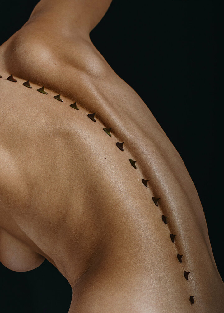 deanralphs gallery photo #1063