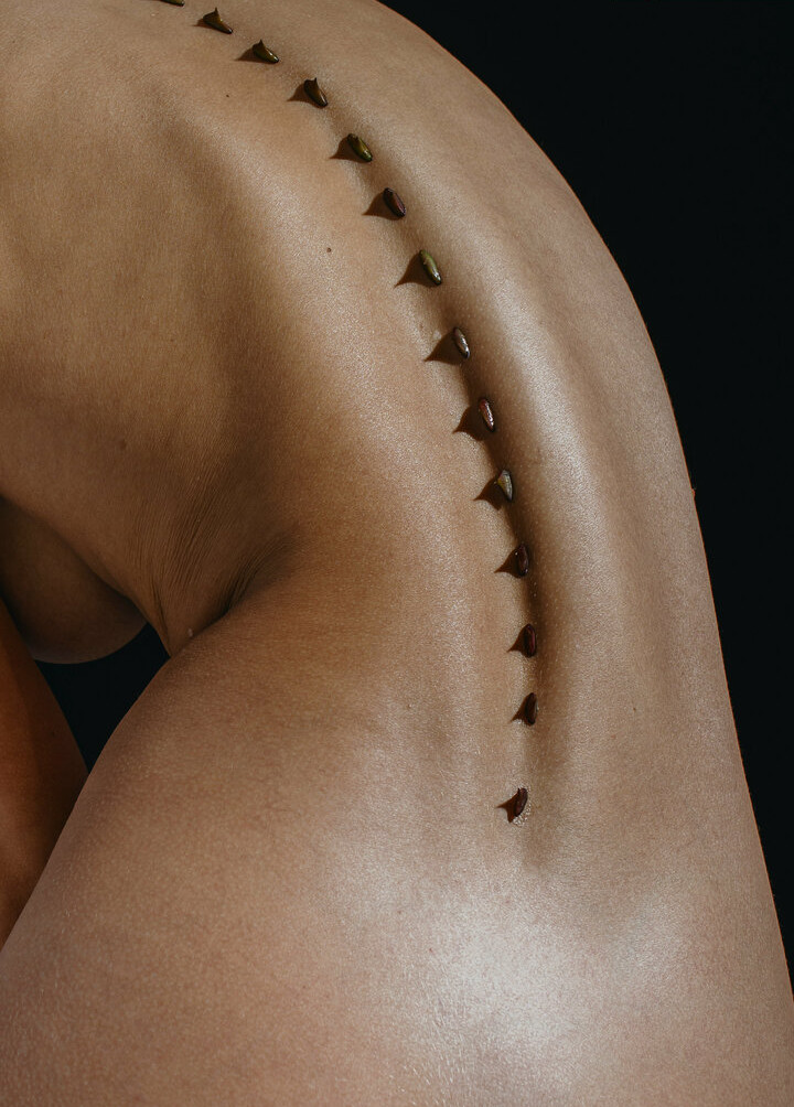 deanralphs gallery photo #1065