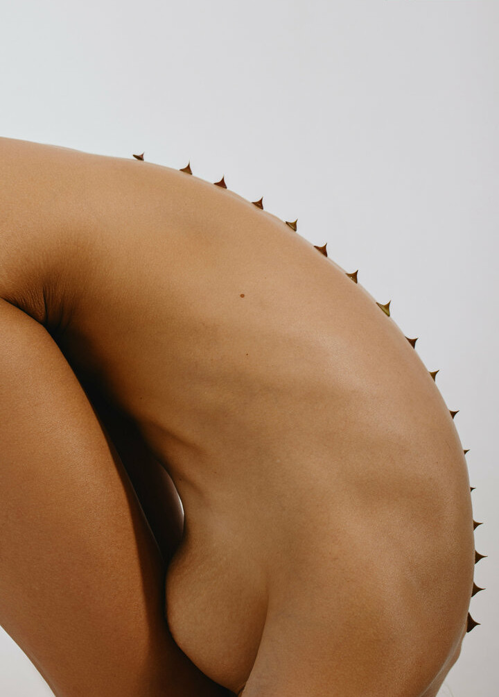 deanralphs gallery photo #1073