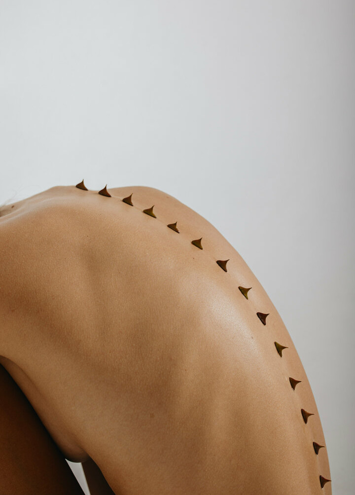 deanralphs gallery photo #1074