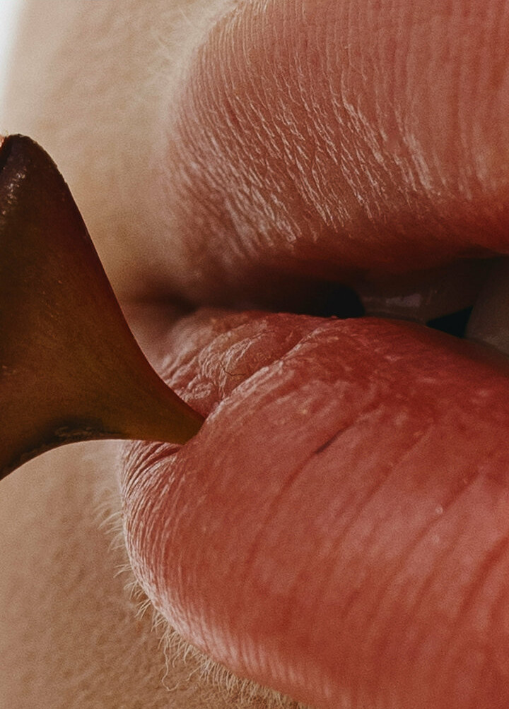 deanralphs gallery photo #1085