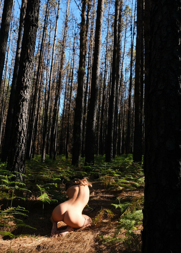 deanralphs Nude Leaks OnlyFans Photos #743 - LeakJerk