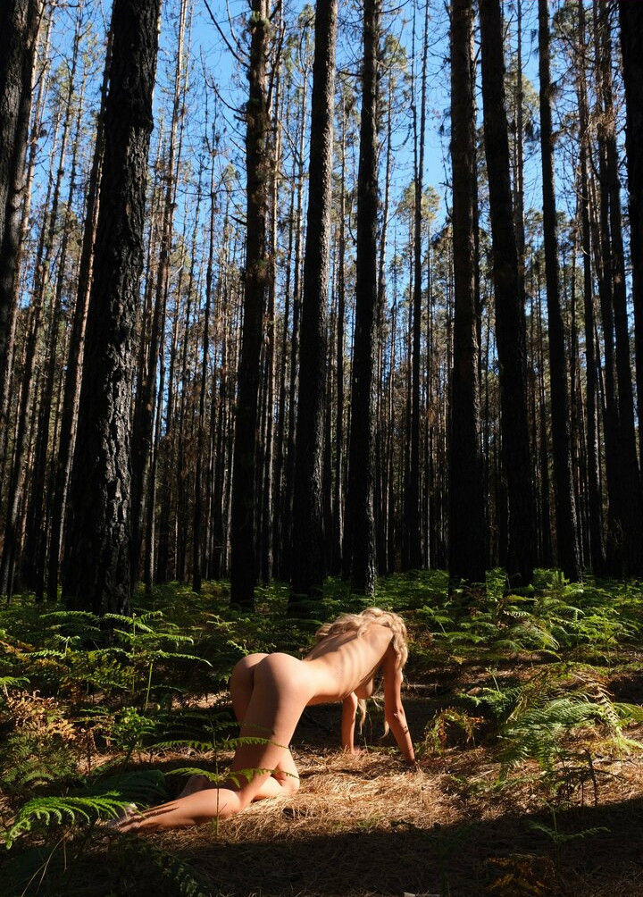 deanralphs Nude Leaks OnlyFans Photos #745 - LeakJerk