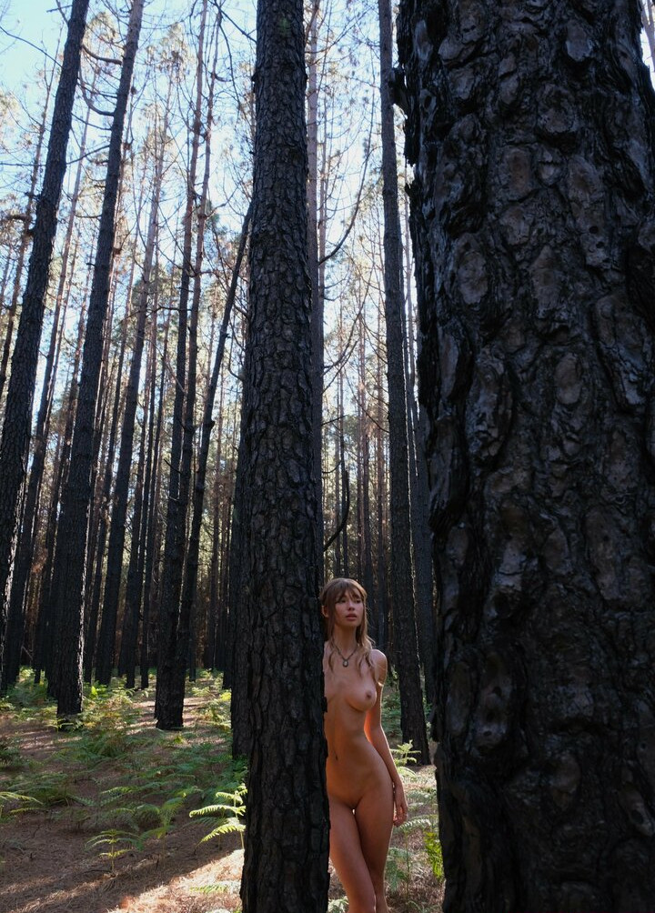 deanralphs Nude Leaks OnlyFans Photos #747 - LeakJerk