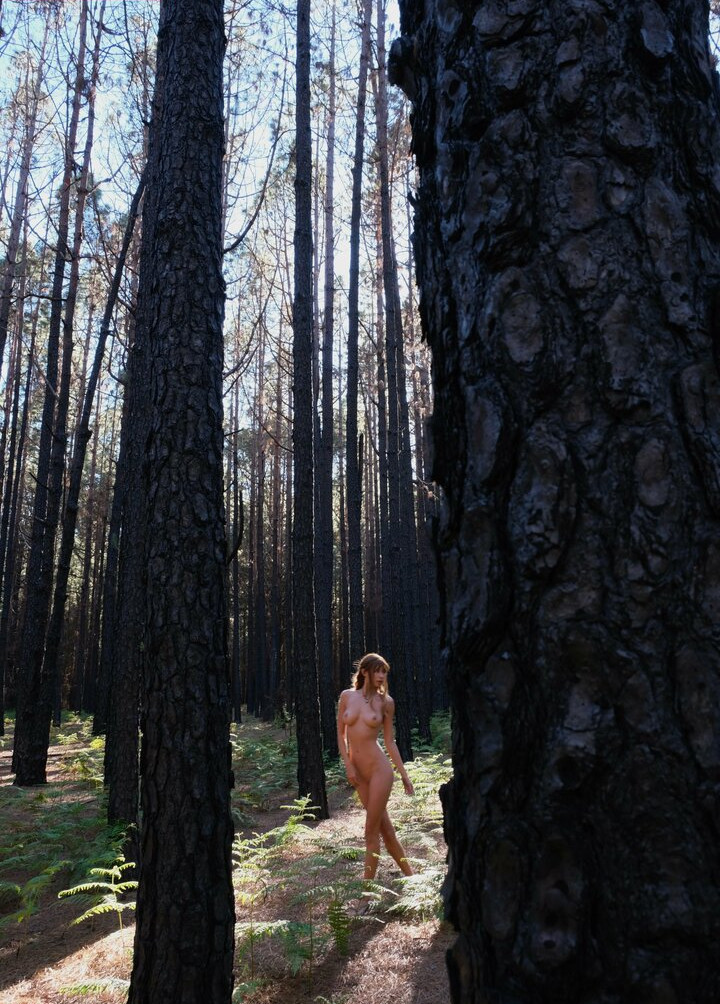 deanralphs Nude Leaks OnlyFans Photos #748 - LeakJerk