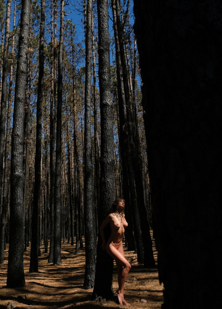 deanralphs Nude Leaks OnlyFans Photos #757 - LeakJerk