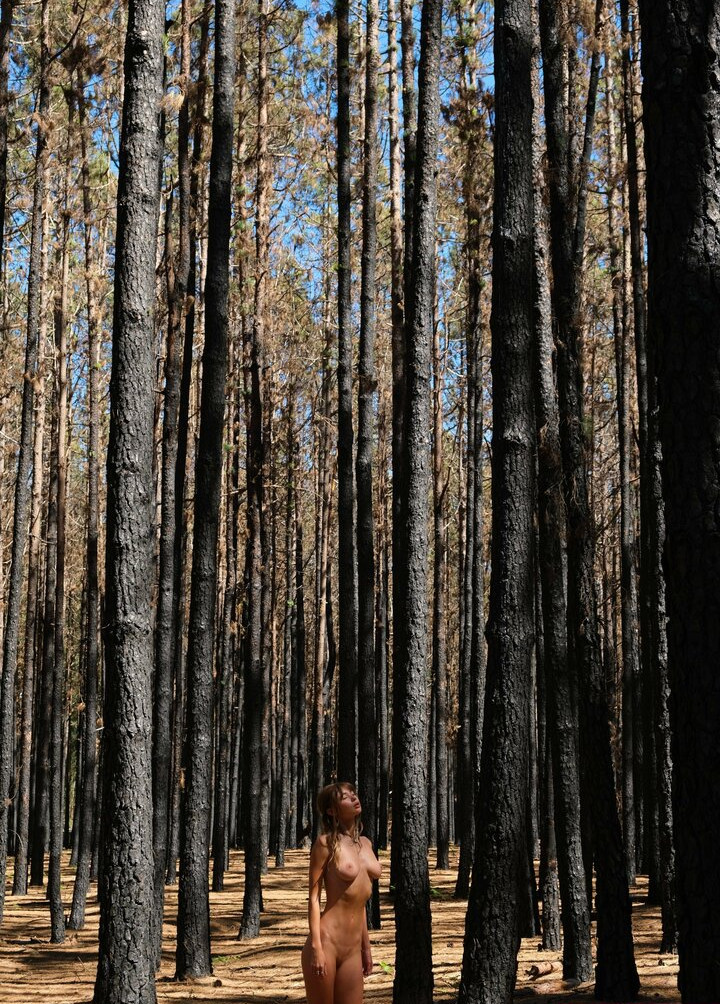 deanralphs Nude Leaks OnlyFans Photos #759 - LeakJerk