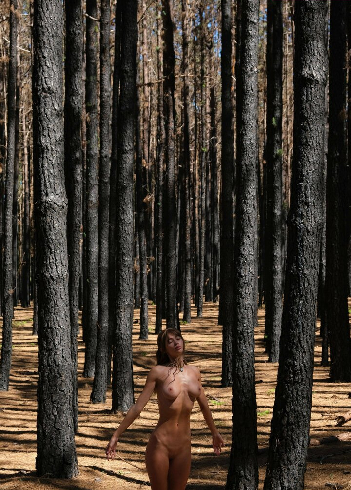 deanralphs Nude Leaks OnlyFans Photos #763 - LeakJerk